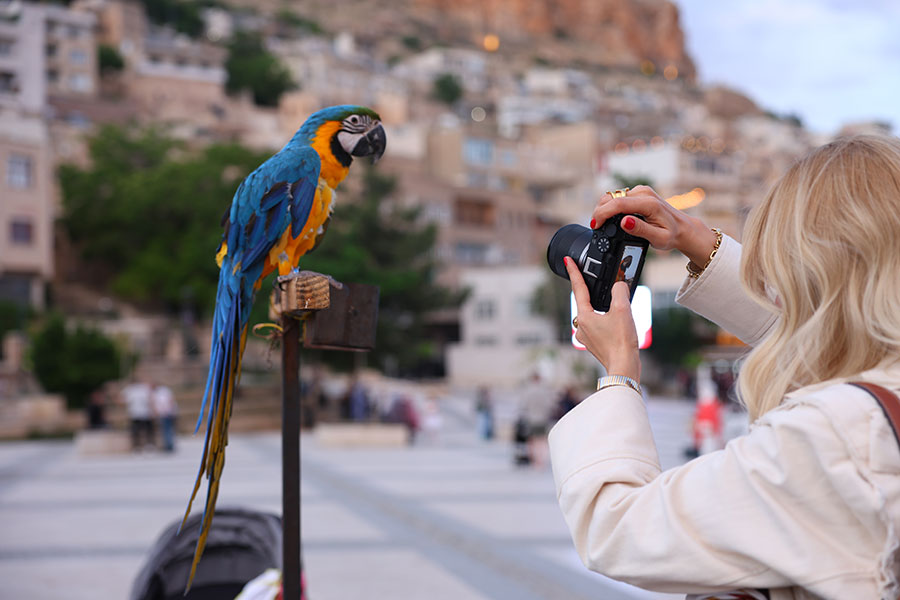 Vlog Dünyasına Mardin’den İlham Veren Başlangıç