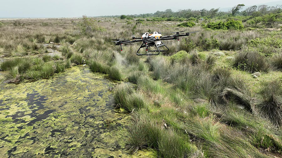 Sinekle mücadele hız kesmiyor