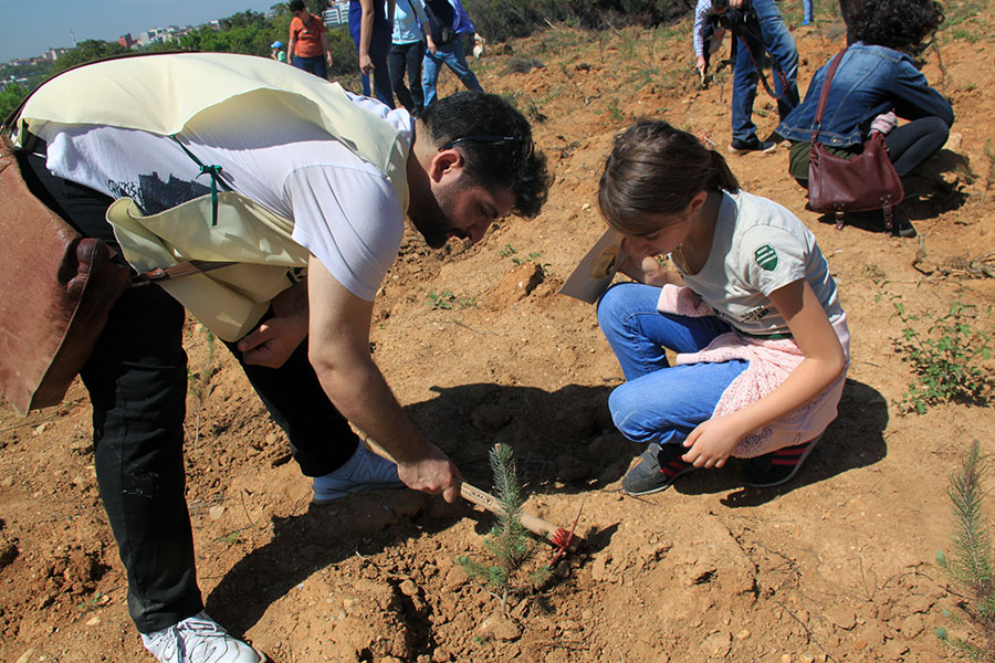 Fidan dikiminde acele edilmemeli