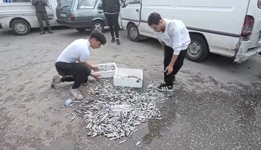 Cuma Pazarında Balıkçı Kavgası