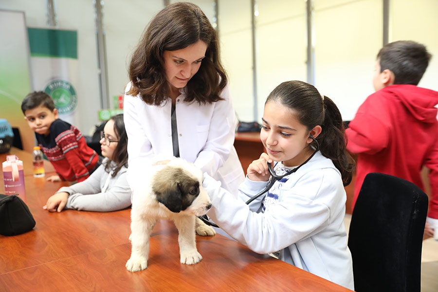Büyükşehir patili dostların yanında